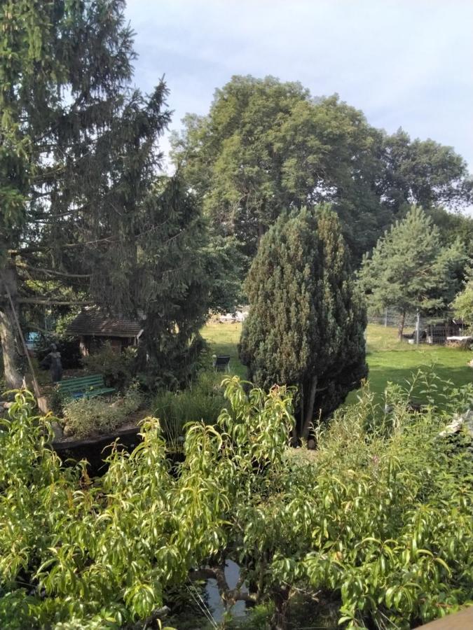 Pusteblume Lejlighed Groitzsch Eksteriør billede